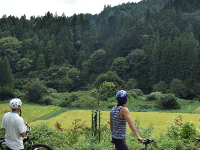 Exploring Portland’s Charm: A Comprehensive Guide to Bike Rentals and Urban Adventures