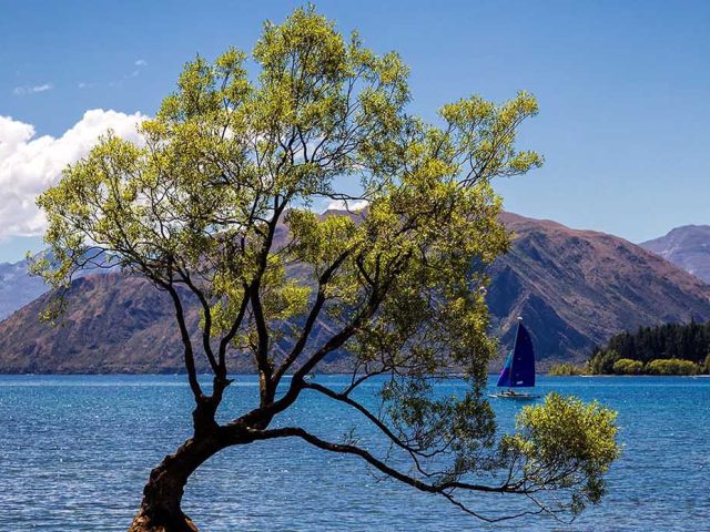 Artistic Reverie: A Comprehensive Exploration of Wanaka Art Gallery