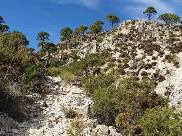 Top 3 Hiking Routes Around Málaga: The Perfect Blend of Canyons, Valleys, and Coastlines